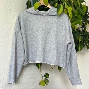 Gray Cropped Alo Hoodie